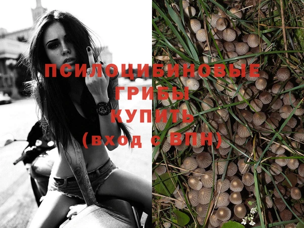 прущий лед Алексин