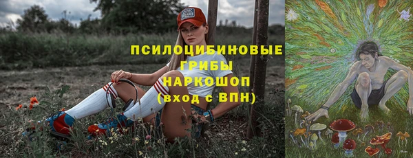 прущий лед Алексин
