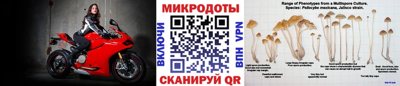 Псилоцибиновые грибы Magic Shrooms  omg ссылка  Калининск 
